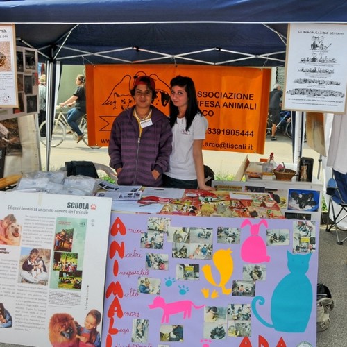 A.D.A. Arco - Festa del volontariato - il nostro gazebo