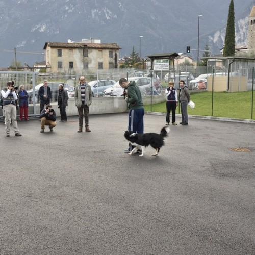 A.D.A. Arco - Inaugurazione nuovo rifugio anomali ADA - dimostrazione di Marco con yuki