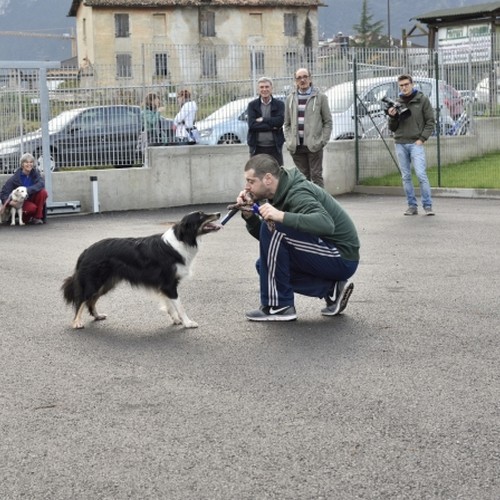 A.D.A. Arco - Inaugurazione nuovo rifugio anomali ADA - dimostrazione di Marco con yuki 2